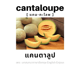 cantaloupe - แคนตาลูป