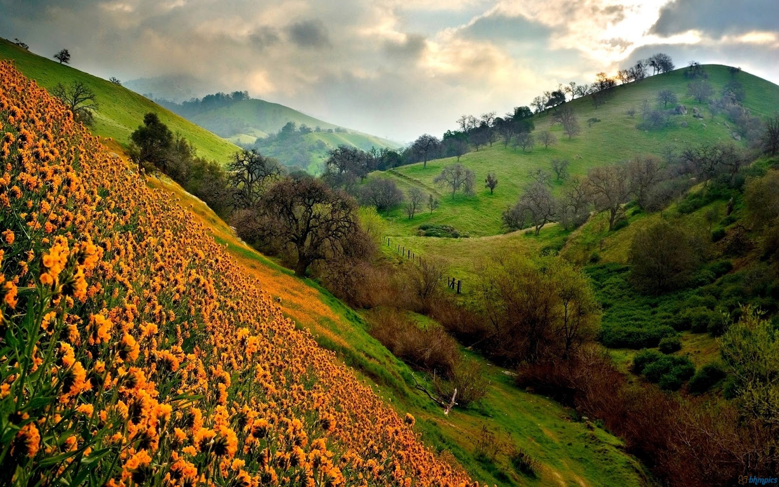 HD Wallpapers: Beautiful HD Valley Wallpapers
