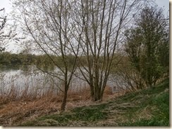 Hollogne-sur-Geer: Decanteerbekken