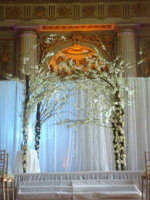 Beautifull arch with orchids at the Andrew Mellon