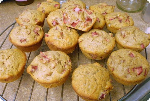 Yogourt Rhubarb muffins 001