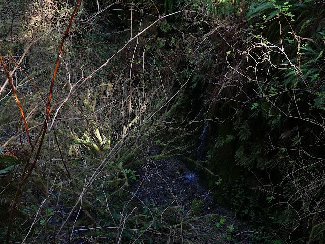 small stream of water joining the creek below