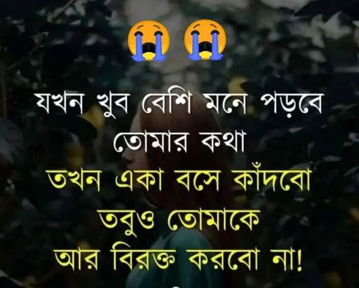 বাংলা দুঃখের সাইরি ফটো - ভালোবাসার দুঃখের সাইরি -  ব্রেকআপ সাইরি বাংলা - shayari pic - insightflowblog.com - Image no 9