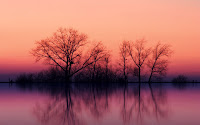 Autumn Trees At Dusk1