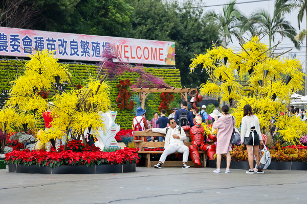 2020新社花海暨台中國際花毯節「愛麗絲的花境探險」精彩不容錯過