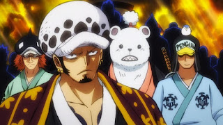 One Piece ハートの海賊団メンバー一覧 Heart Pirates