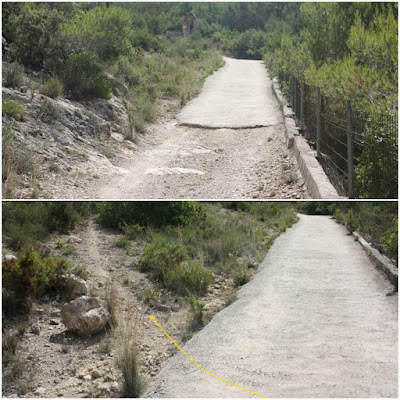 ALBINYANA - ERMITA SANT ANTONI - PUIG DE SANT ANTONI, Camí d'Escansa i corriol en direcció a l'Ermita de Sant Antoni