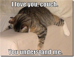 catcouch