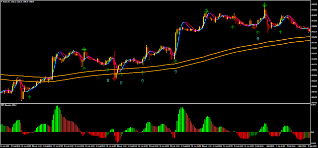 Mastering the Predator Forex Strategy