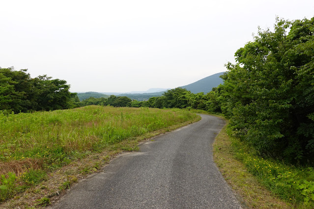 鳥取県西伯郡大山町妻木 鳥取県立むきばんだ史跡公園 遺構展示館裏の遊歩道