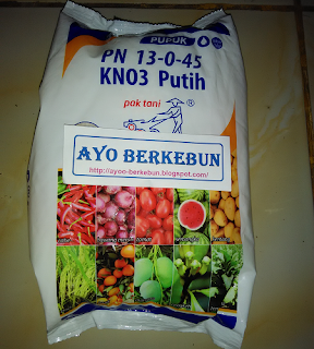 jual pupuk kno3