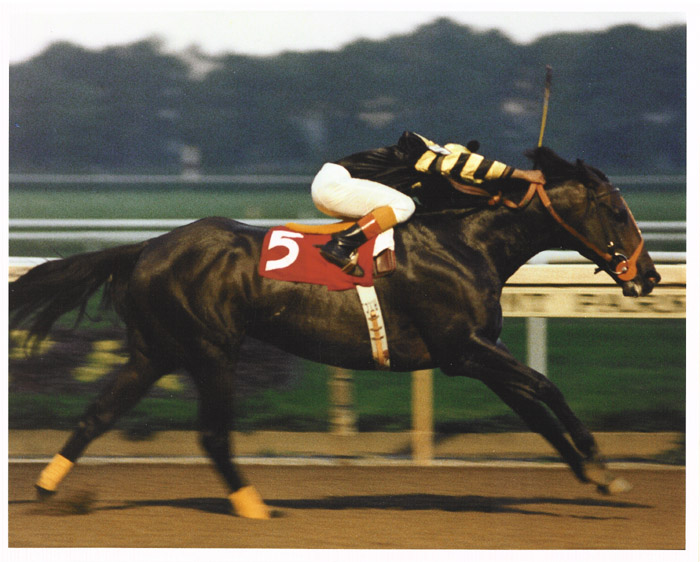 I See Dead  People Seattle  Slew 