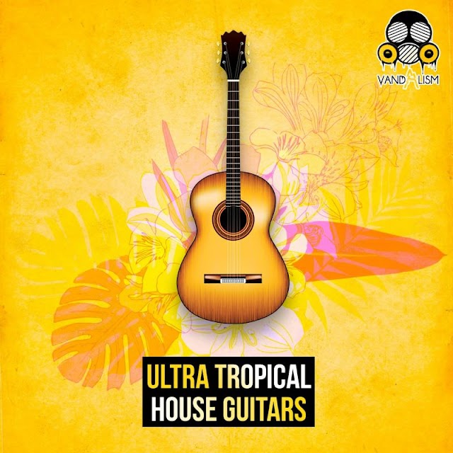 Vandalism Ultra Tropical House Guitars (Sample Pack) Free Download