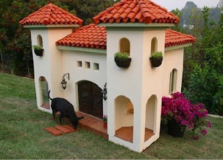 dog house