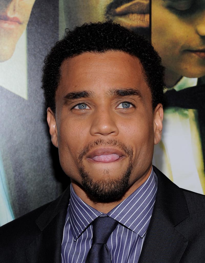 Sober In The Cauldron: XY Chromosome Sundae:Michael Ealy