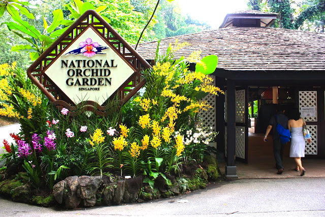 National Orchid Garden at Singapore Botanic Gardens