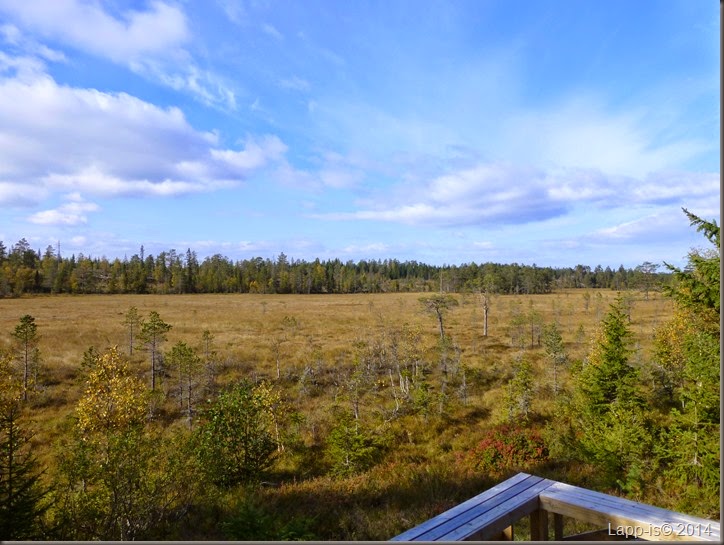Totenåsen 014