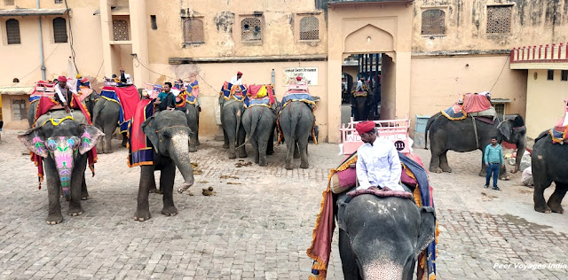 Elephant ride at Amer fort Jaipur Rajasthan