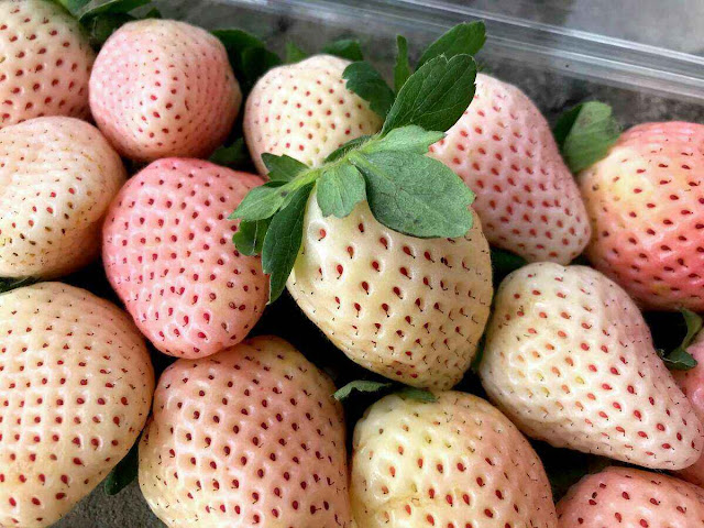 White strawberries