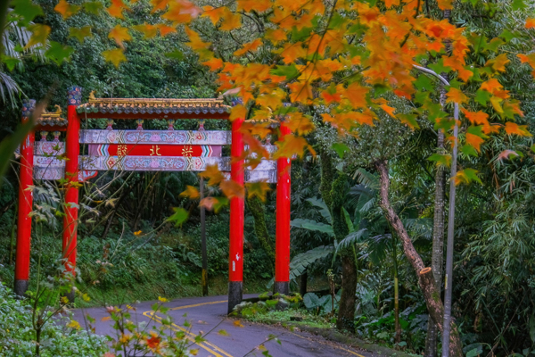 新北汐止拱北殿楓葉結合雙拱橋古色古香，北部熱門賞楓景點