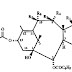 Sanofi Aventis Taxotere Patents invalidated by CAFC