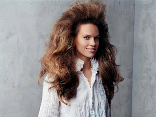 Free non watermarked wallpapers of Hilary Swank at Fullwalls.blogspot.com