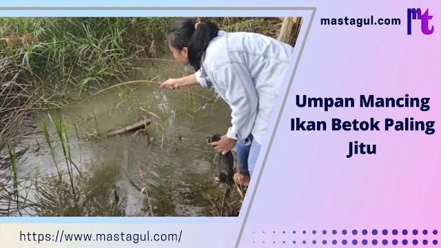 Ikan Betok