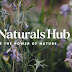 Welcome to Cure Naturals Hub: Your Journey to Natural Healing Begins Here!