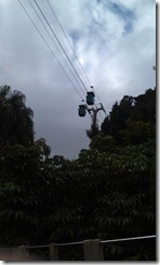IMAG0483