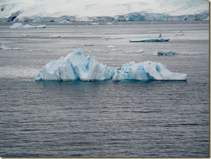 a antarctica (269) (1024x759)