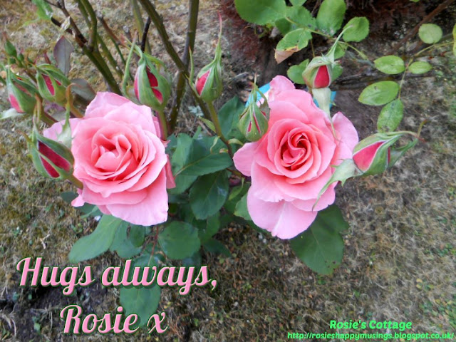 Hugs always,Rosie x