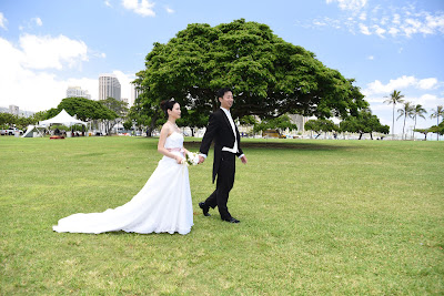 Bridal Dream Hawaii