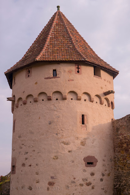 Fortifications de Bergheim (Alsace). Front nord - tour semi-circulaire.