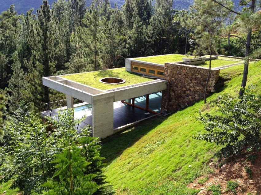 Contemporary House Idea With Grass Roof RD House