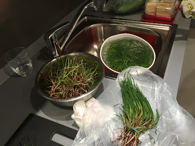 Preparing the agretti for cooking