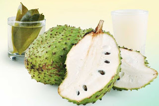 Soursop Fruit Benefits Know It