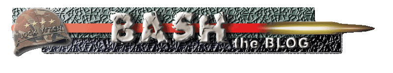 BASH the Blog