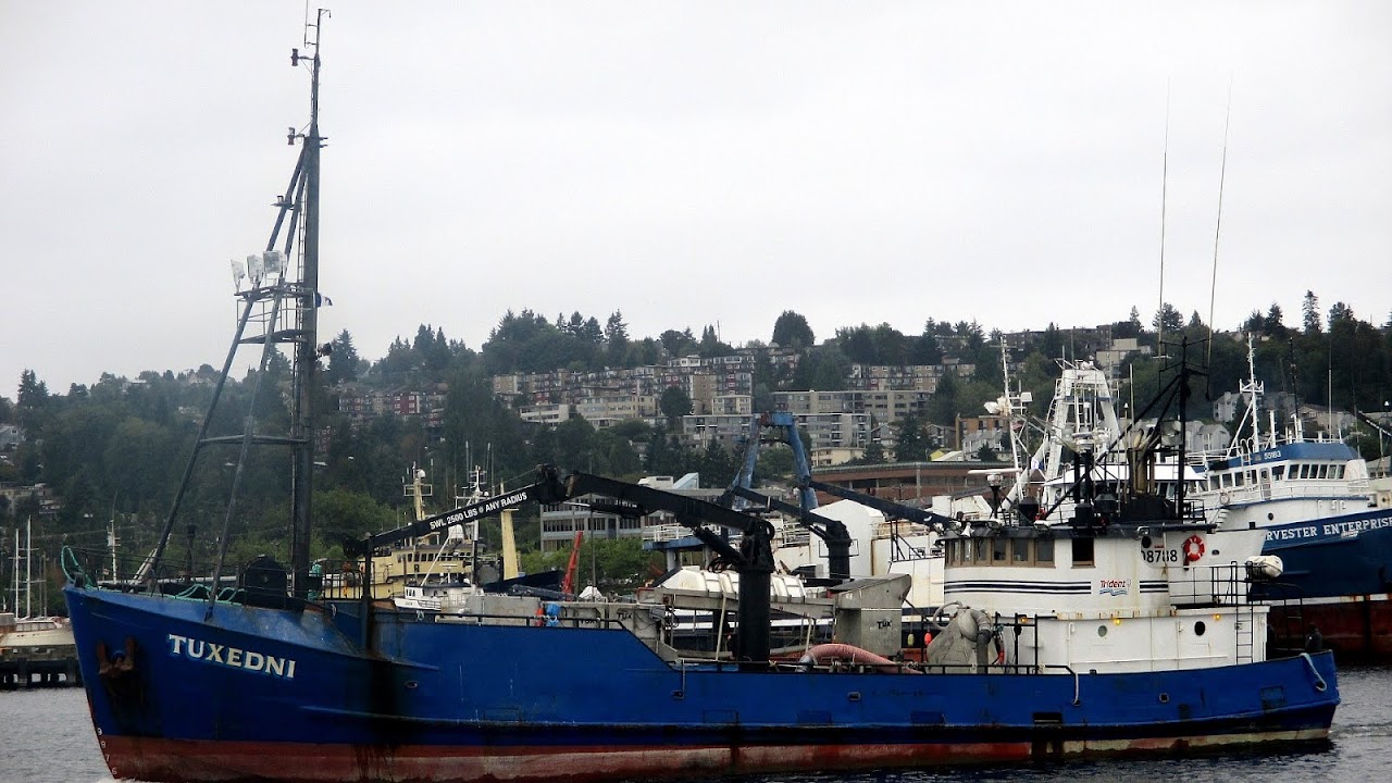 Alaska Fishing Company Seattle