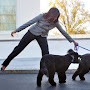 'Plot to kidnap one of Obama's dogs' stopped by Police