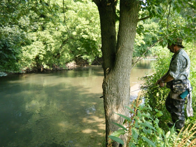 Spurky Trout Fishing