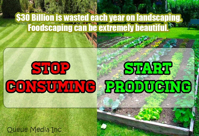 $30 Billion is wasted each year on landscaping. Foodscaping can be extremely beautiful. 