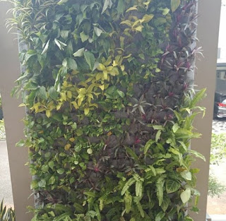 Vertical garden