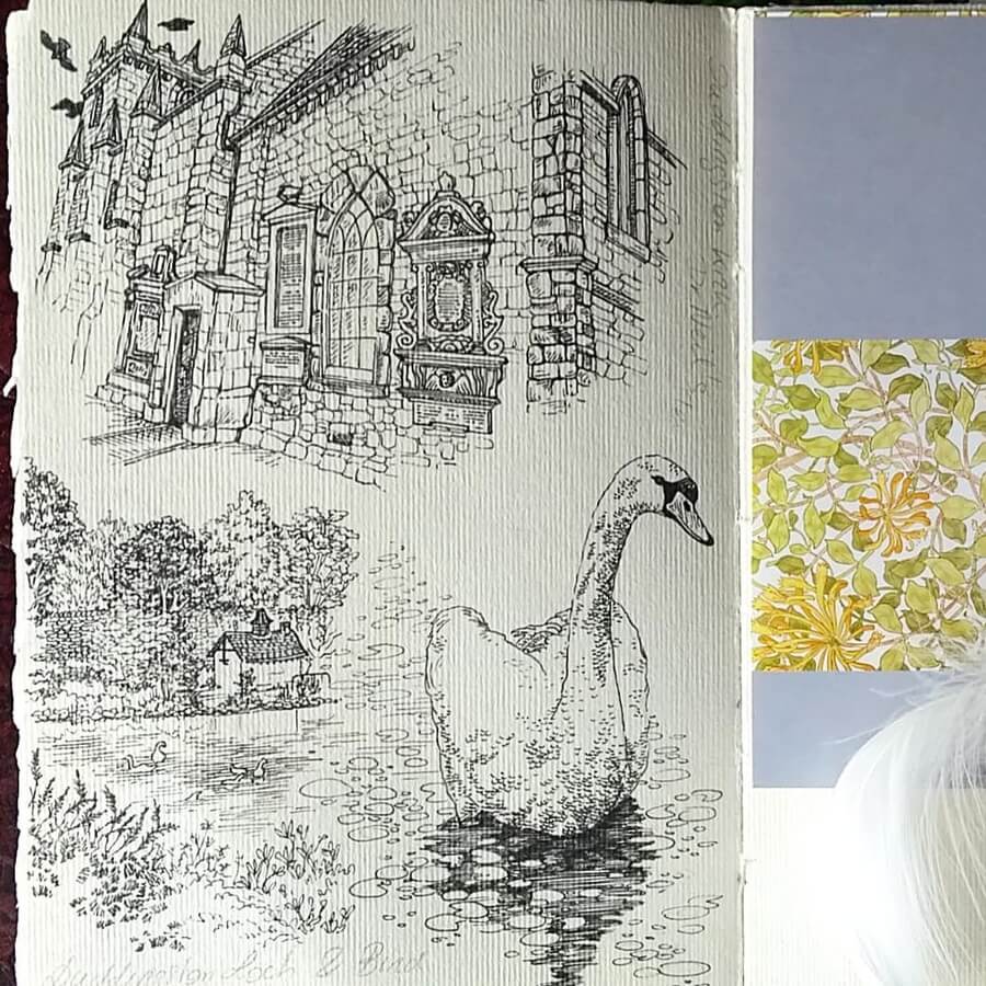 09-The-swan-and-the-castle-Ink-Drawings-Poppy-Mili-www-designstack-co