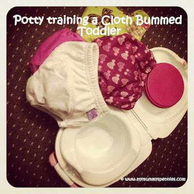 potty training a cloth bummed toddler