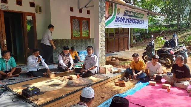 Lahan Terbatas, Budidaya Ikan Bisa Manfaatkan Lahan Pekarangan  