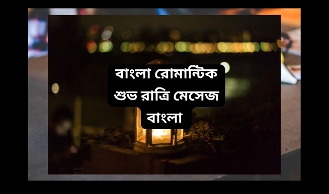 রোমান্টিক শুভ রাত্রি স্ট্যাটাস বাংলা । শুভ রাত্রি রোমান্টিক মেসেজ - Bangla Good Night