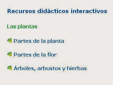 las plantas