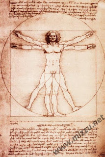 leonardo da vimci Vitruvian Man