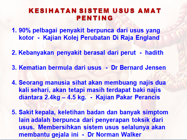 4 Fasa Detox Lengkap Dengan Nutrelle Extra  Lutfi Yunus