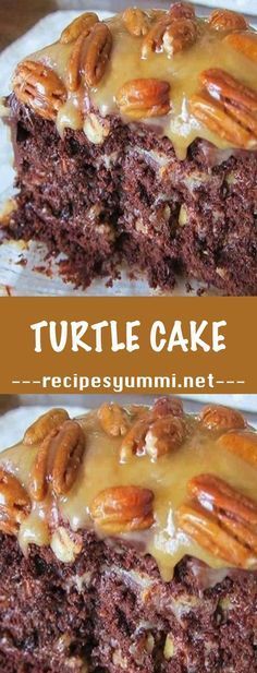 CHOCOLATE TURTLE CAKE RECIPE Follow me on Facebook and Instagram too! INGREDIENTS: •1 Cup chocolate chips. •2 Cups pecans. •3/4 Cup melted butter… •1/2 Cup evaporated…